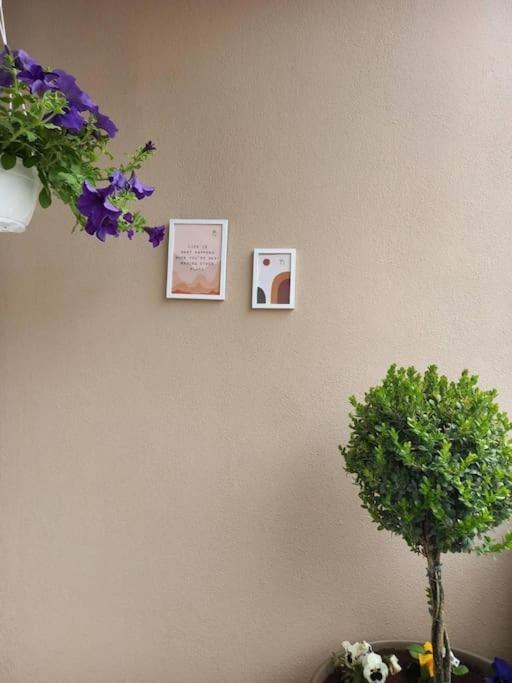 Vagelishome Komotini Exteriör bild