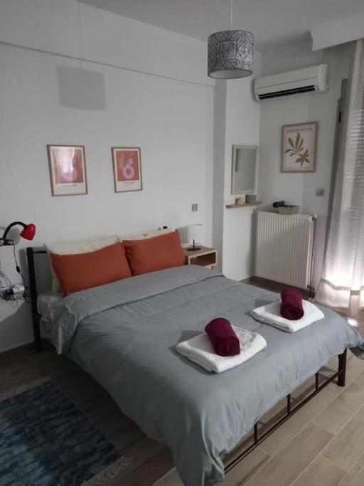 Vagelishome Komotini Exteriör bild